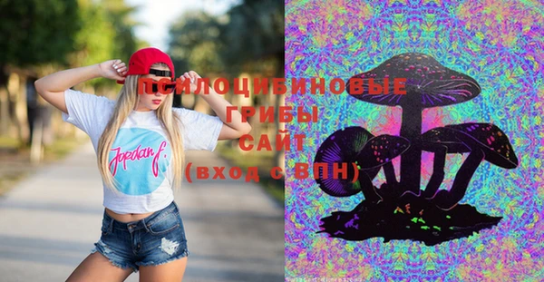 ПСИЛОЦИБИНОВЫЕ ГРИБЫ Абдулино